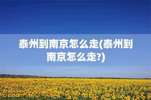 泰州到南京怎么走(泰州到南京怎么走?)