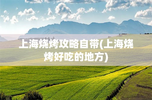 上海烧烤攻略自带(上海烧烤好吃的地方)