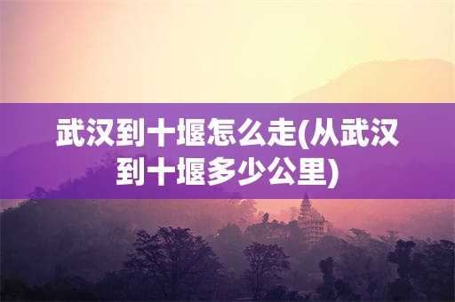 武汉到十堰怎么走(从武汉到十堰多少公里)