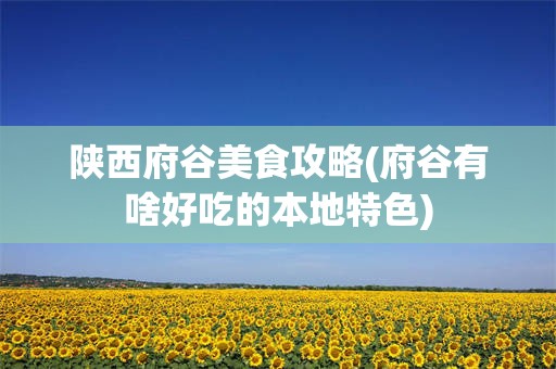 陕西府谷美食攻略(府谷有啥好吃的本地特色)