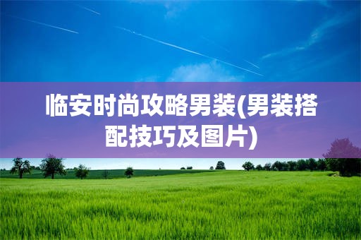 临安时尚攻略男装(男装搭配技巧及图片)