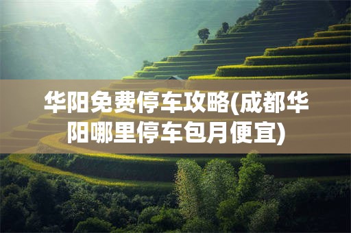 华阳免费停车攻略(成都华阳哪里停车包月便宜)