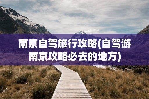 南京自驾旅行攻略(自驾游南京攻略必去的地方)