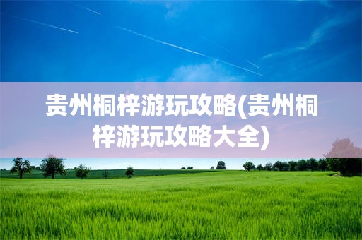 贵州桐梓游玩攻略(贵州桐梓游玩攻略大全)