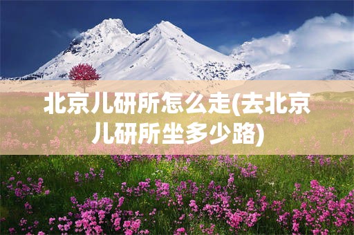 北京儿研所怎么走(去北京儿研所坐多少路)