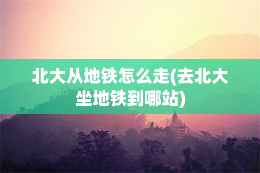 北大从地铁怎么走(去北大坐地铁到哪站)
