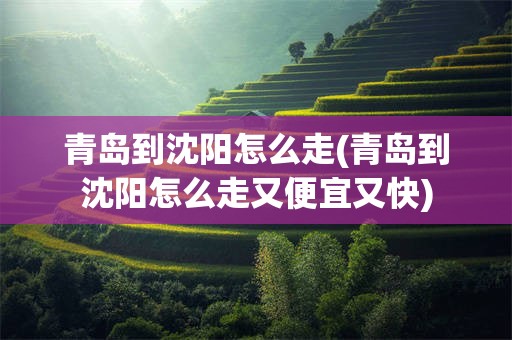青岛到沈阳怎么走(青岛到沈阳怎么走又便宜又快)