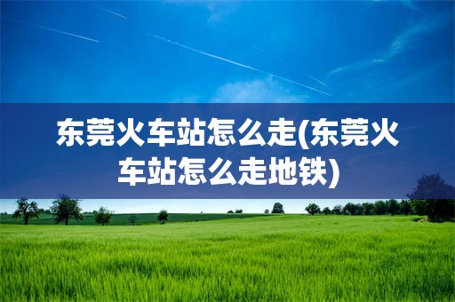 东莞火车站怎么走(东莞火车站怎么走地铁)