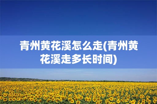 青州黄花溪怎么走(青州黄花溪走多长时间)