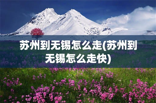 苏州到无锡怎么走(苏州到无锡怎么走快)