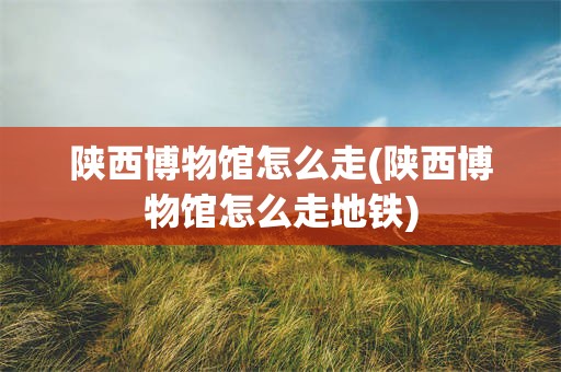 陕西博物馆怎么走(陕西博物馆怎么走地铁)