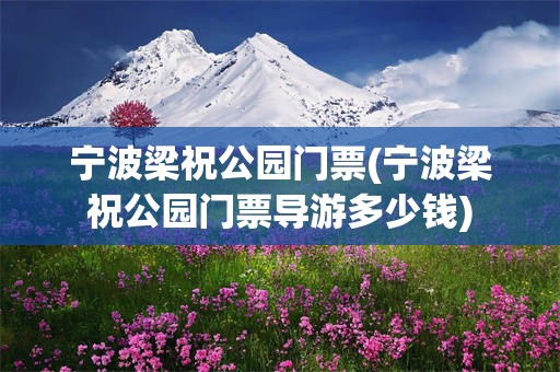 宁波梁祝公园门票(宁波梁祝公园门票导游多少钱)
