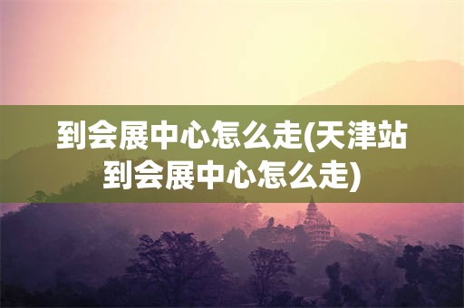 到会展中心怎么走(天津站到会展中心怎么走)