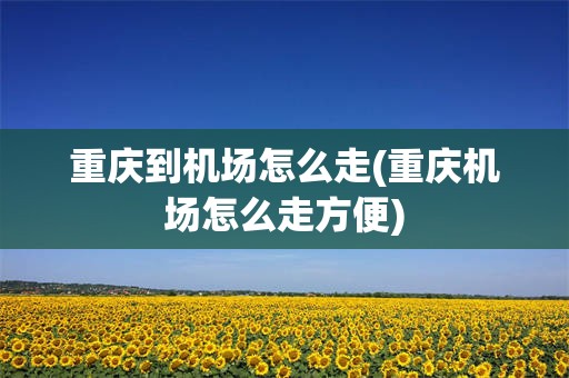 重庆到机场怎么走(重庆机场怎么走方便)