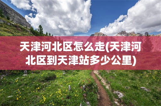 天津河北区怎么走(天津河北区到天津站多少公里)