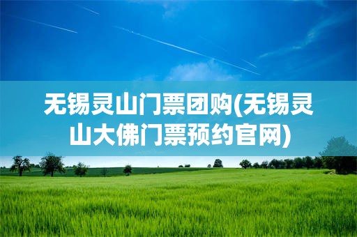 无锡灵山门票团购(无锡灵山大佛门票预约官网)