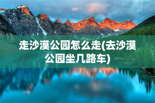 走沙漠公园怎么走(去沙漠公园坐几路车)