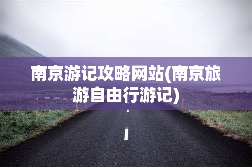 南京游记攻略网站(南京旅游自由行游记)