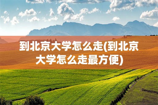到北京大学怎么走(到北京大学怎么走最方便)