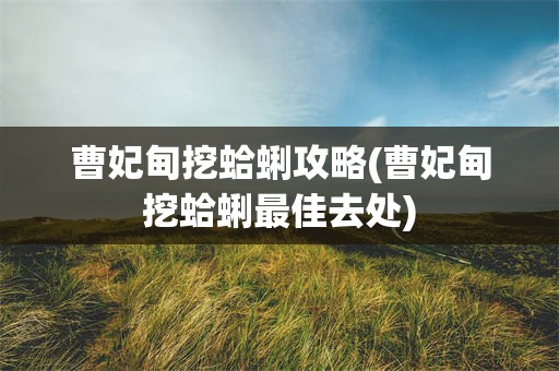 曹妃甸挖蛤蜊攻略(曹妃甸挖蛤蜊最佳去处)