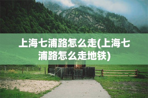 上海七浦路怎么走(上海七浦路怎么走地铁)