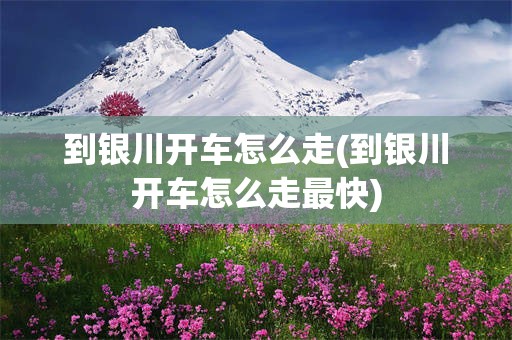 到银川开车怎么走(到银川开车怎么走最快)