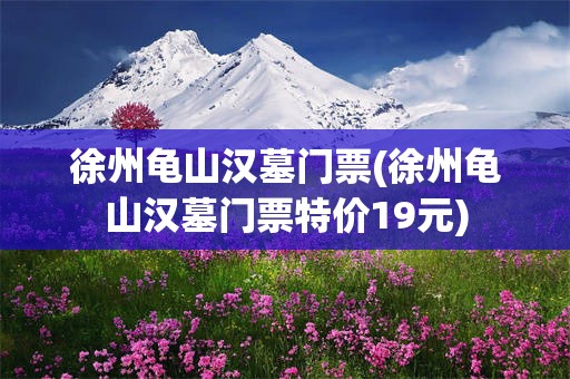徐州龟山汉墓门票(徐州龟山汉墓门票特价19元)