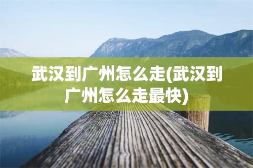 武汉到广州怎么走(武汉到广州怎么走最快)
