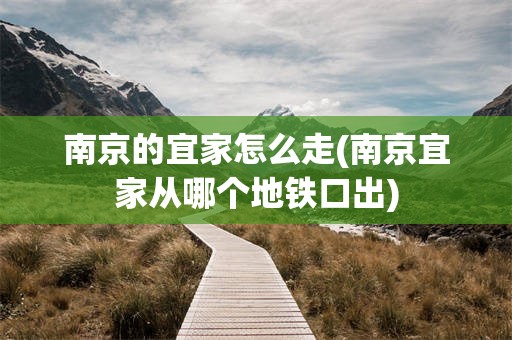 南京的宜家怎么走(南京宜家从哪个地铁口出)