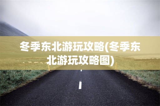 冬季东北游玩攻略(冬季东北游玩攻略图)