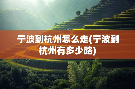 宁波到杭州怎么走(宁波到杭州有多少路)