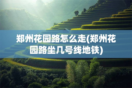 郑州花园路怎么走(郑州花园路坐几号线地铁)