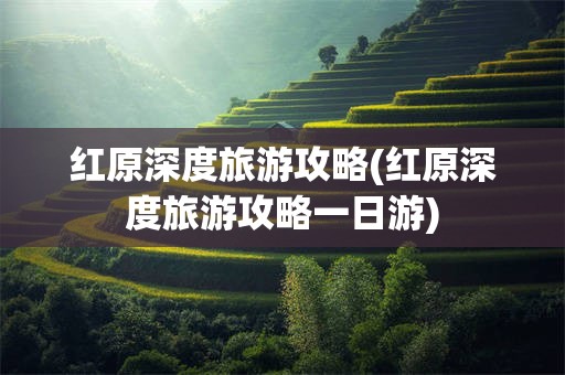 红原深度旅游攻略(红原深度旅游攻略一日游)