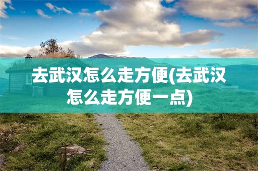 去武汉怎么走方便(去武汉怎么走方便一点)