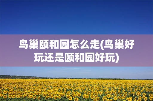鸟巢颐和园怎么走(鸟巢好玩还是颐和园好玩)