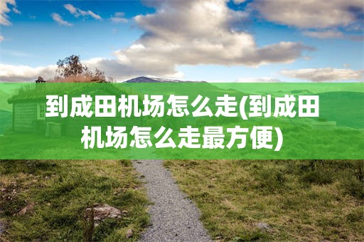 到成田机场怎么走(到成田机场怎么走最方便)