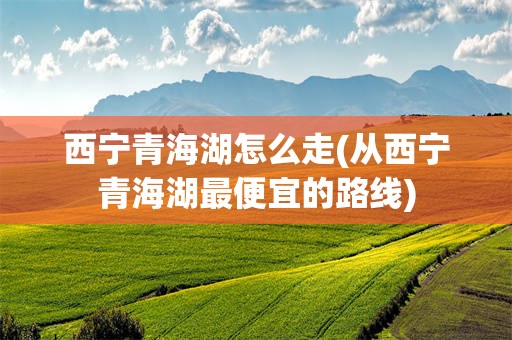 西宁青海湖怎么走(从西宁青海湖最便宜的路线)