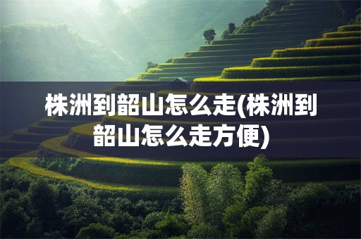 株洲到韶山怎么走(株洲到韶山怎么走方便)