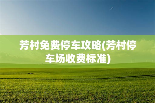 芳村免费停车攻略(芳村停车场收费标准)