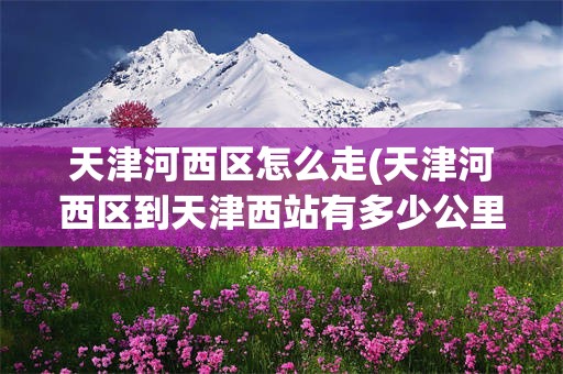 天津河西区怎么走(天津河西区到天津西站有多少公里)