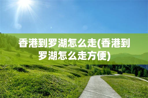 香港到罗湖怎么走(香港到罗湖怎么走方便)