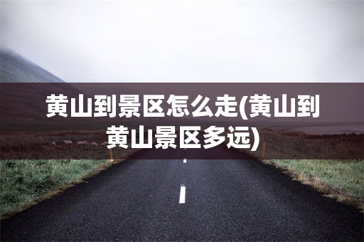 黄山到景区怎么走(黄山到黄山景区多远)