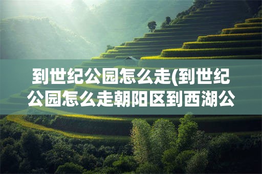 到世纪公园怎么走(到世纪公园怎么走朝阳区到西湖公园怎么走)