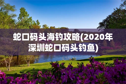 蛇口码头海钓攻略(2020年深圳蛇口码头钓鱼)