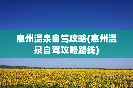 惠州温泉自驾攻略(惠州温泉自驾攻略路线)
