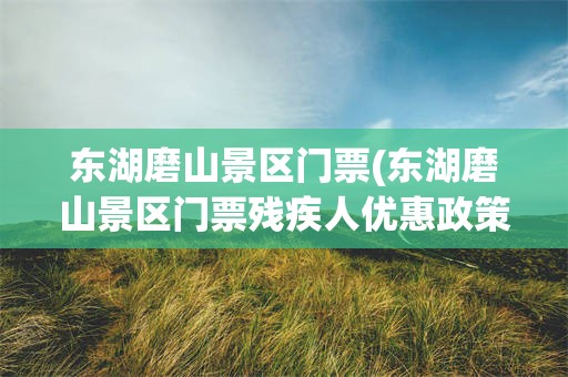 东湖磨山景区门票(东湖磨山景区门票残疾人优惠政策)