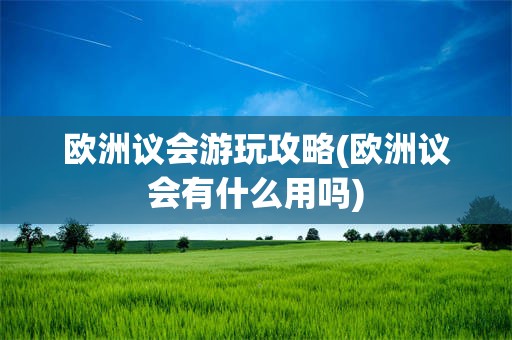 欧洲议会游玩攻略(欧洲议会有什么用吗)