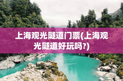 上海观光隧道门票(上海观光隧道好玩吗?)
