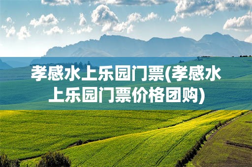 孝感水上乐园门票(孝感水上乐园门票价格团购)