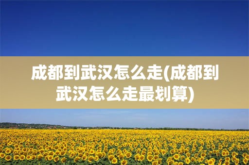 成都到武汉怎么走(成都到武汉怎么走最划算)